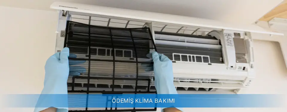 Ödemiş İlçemi Alarko Carrier Klima Bakımı