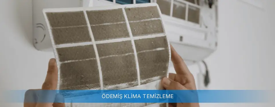 Ödemiş İlçemi Alarko Carrier Klima Temizleme